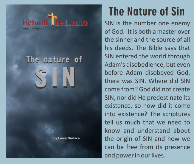 The Nature of SIn